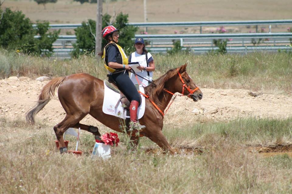 Pau Dorca Campeón de España absoluto de TREC 2014 y el equipo Navarro medalla de bronce